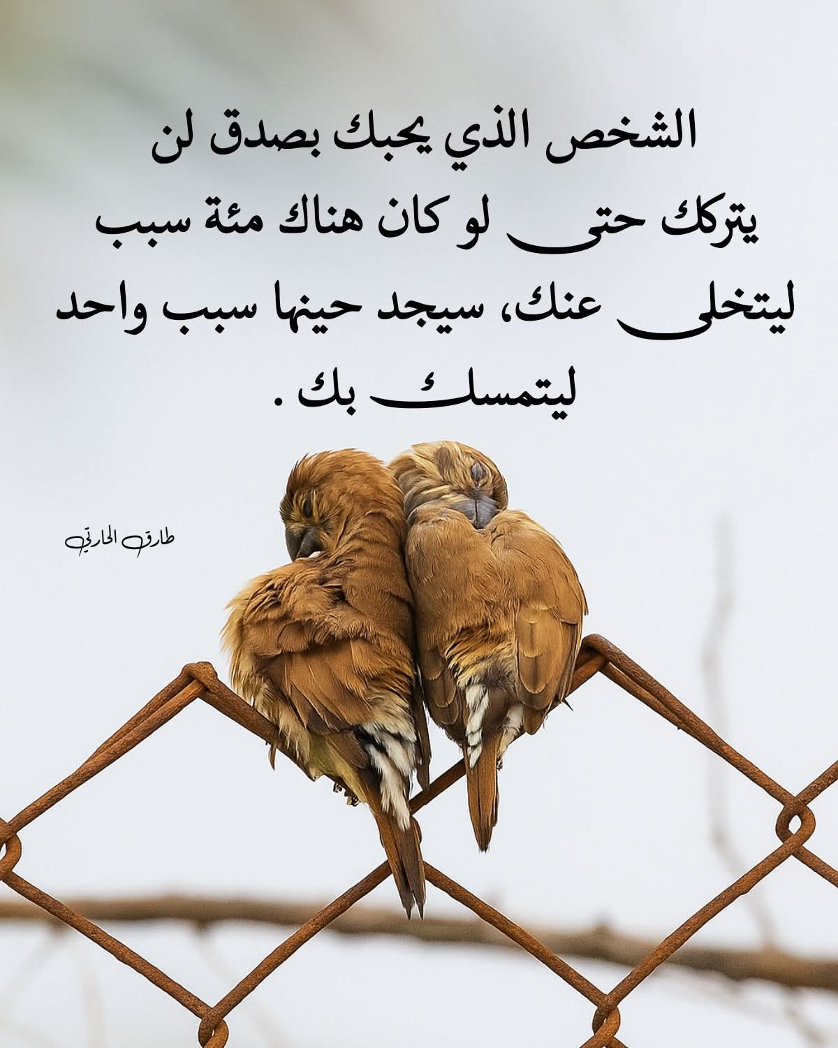 👑🌷 شات أميرتي البنات – خصوصية وأمان